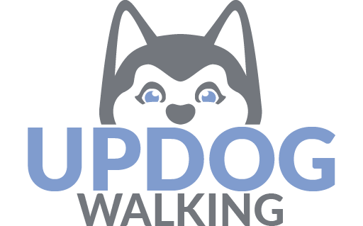 Updog hot sale dog walking